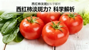 多吃西红柿能淡斑吗？